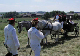 waterloo-05-264